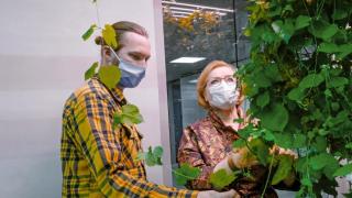 Vantaan kaupunginjohtaja Ritva Viljanen ja projektipäällikkö Henri Laine tutkivat laboratorioversoja.