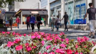 Blommor på gatan i Dickursby.