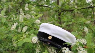 Student cap on a tree branch.